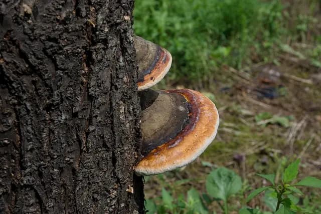 Essential Travel Health Tips for Every Traveller