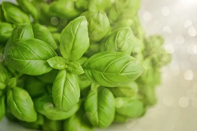 Guide d'Achat : Meilleur Déshydrateur Alimentaire