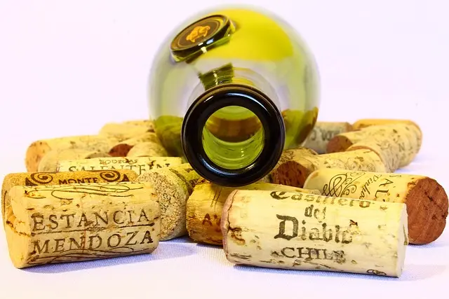 Guide d'achat : meilleures bouteilles réutilisables