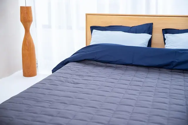 Guide d'Achat des Meilleurs Matelas Écologiques